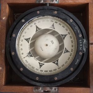 Meet your Posher, Lynne